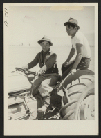[recto] H. Kawase, 20 (left), and M. Sakai, 22, operate tractor preparing ground for sowing onion seeds at the relocation center. ;  Photographer: Stewart, Francis ;  Manzanar, California.