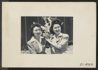 [recto] Manzanar, Calif.--Nancy Kawashima (left), and Emiko Hino, both from Los Angeles, arrange paper flowers for one of many art exhibits at Manzanar, a War Relocation Authority center where evacuees of Japanese ancestry are spending the duration. ;  Photogra