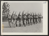 [recto] Right Shoulder Arms. A squad of Japanese-American soldiers are here shown in the action of obeying this command during routine ...