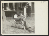 [recto] A small evacuee of Japanese ancestry amuses himself while his parents are entertained by an outdoor musical show at this War Relocation Authority center. ;  Photographer: Stewart, Francis ;  Poston, Arizona.