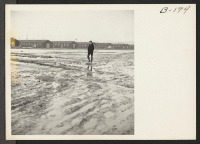 [recto] Thaws turn the streets and fire breaks into seas of mud, and makes difficult motor transportation through the center. ;  Photographer: Stewart, Francis ;  Newell, California.