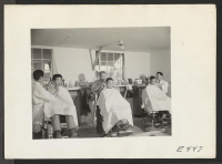 [recto] With a total of three chairs, the cooperative barber shop does a brisk business every day of the week. ;  Photographer: Parker, Tom ;  Amache, Colorado.