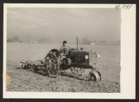 [recto] Kitao Tanabe, from the Rohwer Relocation Center, is shown driving a cultivator on the Tanaka farm near Henderson, Colorado, where he is employed with a number of other relocatees from various centers. ;  Photographer: Mace, Charles E. ;  Henderson, Co