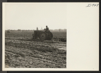 [recto] Tractors preparing land for planting vegetables in the coastal area of South Carolina. The land shown is four miles south of Beaufort, South Carolina. ;  Photographer: Iwasaki, Hikaru ;  Beaufort, South Carolina.