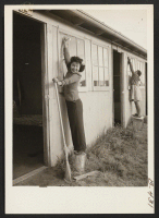 [recto] Frieda Lakahama of Long Beach, California, joins in window washing at Santa Anita Park assembly center for evacuees of Japanese ancestry. ;  Photographer: Albers, Clem ;  Arcadia, California.