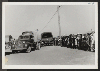 [recto] Trucks loaded with segregees arrive at processing center. ;  Newell, California.