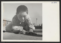 [recto] Jerry Osumi, 11, was formerly a student in Sacramento, California. He is, at present, a student at the center. New Year's Fair marble champ. ;  Photographer: Stewart, Francis ;  Poston, Arizona.