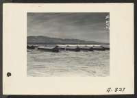[recto] Parker, Ariz.--View of quarters under construction for evacuees of Japanese ancestry at War Relocation Authority center on Colorado River Indian Reservation. ;  Photographer: Albers, Clem ;  Parker, Arizona.