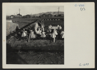 [recto] Manzanar, Calif.--Evacuees of Japanese ancestry are growing flourishing truck crops for their own use in their hobby gardens. These crops are grown in plots 10 x 50 feet between blocks of barracks at this War Relocation Authority center. ;  Photographer