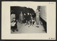 [recto] Lone Pine, Calif.--Evacuees of Japanese ancestry arrive here by train prior to being transferred by bus to Manzanar, now a War Relocation Authority center. ;  Photographer: Albers, Clem ;  Lone Pine, California.