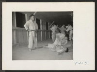 [recto] A Judo class. Lessons are held every afternoon and evening at this relocation center. ;  Photographer: Parker, Tom ;  McGehee, Arkansas.