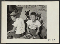 [recto] One thing about Arkansas mules--you don't have to keep your eye glued to the road--so say these young nisei boys as they deliver firewood to barracks within the center. ;  Photographer: Parker, Tom ;  Denson, Arkansas.