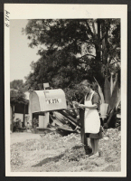[recto] The Otas of Gila River Relocation Center are again receiving their mail at the old address near Carpenteria, California. Mrs. ...