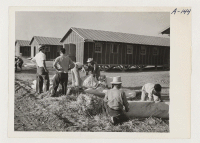 [recto] Evacuees of Japanese ancestry are filling their ticks with straw for mattresses upon arrival at this War Relocation Authority Center. ;  Photographer: Clark, Fred ;  Poston, Arizona.