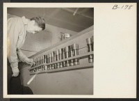 [recto] An evacuee warden inspects flashlight equipment, which is supplied to wardens for their night duty. This equipment is checked out only when wardens go on duty. ;  Photographer: Stewart, Francis ;  Newell, California.