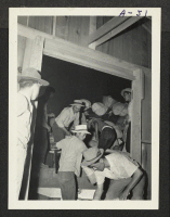 [recto] Arrival of Japanese. Loading baggage for delivery to homes. ;  Poston, Arizona.