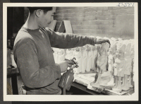 [recto] Mr. Kingo Tasugi is shown spraying plaster-of-Paris dolls at the Oriental Trading Company in Omaha, where he is employed as ...
