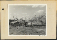 [recto] Poston, Ariz.--Site #3. Burning brush to clear more land for the enlarging of this War Relocation Authority center for evacuees of Japanese ancestry. ;  Photographer: Clark, Fred ;  Poston, Arizona.