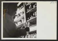 [recto] K. Ishijima, pharmacist, is shown at work preparing a prescription, at the Heart Mountain Pharmacy. ;  Photographer: Iwasaki, Hikaru ;  Heart Mountain, Wyoming.