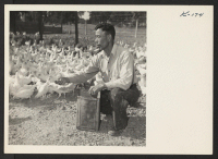 [recto] Risuke Kawaoka, father of Frank Kawaoka, on his ranch at Route 1, Box 113, Petaluma, California. He was formerly a resident of the Granada Relocation Center. ;  Photographer: Iwasaki, Hikaru ;  Petaluma, California.