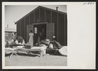 [recto] Newly arrived segregees at Tule Lake clean house and air their bedding before taking up residence in their new quarters. ;  Photographer: Mace, Charles E. ;  Newell, California.