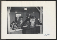 [recto] A section of the office staff at this relocation center. ;  Photographer: Parker, Tom ;  McGehee, Arkansas.