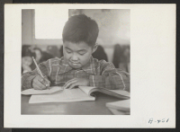[recto] A sixth grade pupil in the classroom. Miss Mae Hert is the teacher. ;  Photographer: Stewart, Francis ;  Newell, California.