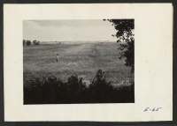 [recto] Typical section of the land to be farmed by the residents of this relocation center. Vegetables and produce will be raised in this area which lies in the rich valley of the Arkansas River. Former residence: Merced Assembly Center, Merced, California. ;