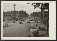 [recto] This town is typical of hundreds found in the agricultural sections in southern Illinois. ;  Photographer: Mace, Charles E. ;  Vandalia, Illinois.