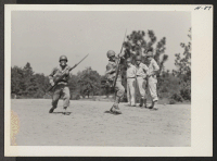[recto] Caucasian officers of the 442nd Japanese-American combat team, watch two Nisei boys go through a highly specialized bayonet routine. The ...