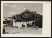 [recto] Vines hide the tar paper on this Rohwer residence. ;  Photographer: Mace, Charles E. ;  McGehee, Arkansas.