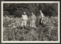 [recto] Mr. Toshichi Mitoma, Mrs. Mitoma and their son, Edwin, are shown here in the beautiful flower garden which Mr. Mitoma ...