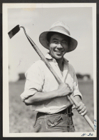 [recto] The man with the hoe in this instance is Yoshio Dogen, a Tacoma farmer from the Tule Lake Relocation Center. His parents are at the Minidoka Center. Dogen is now relocated and working with other Americans of Japanese ancestry on a large farm north of Chic