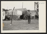 [recto] Every day is wash day for the 20 lads recruited from the Rohwer Relocation Center to help harvest peaches at the Eckert Orchards near Bellville, Illinois. The boys live in tents provided by their employer and they do their own housekeeping. ;  Photograp