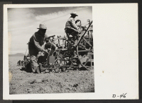 [recto] Tule Lake, Newell, Calif.-- K. Kubo, evacuee-farmer from Clarksburg, Calif., putting onion seed in an automatic planter. Each machine can plant about fifteen acres of white onions a day. ;  Photographer: Stewart, Francis ;  Newell, California.