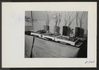 [recto] Bankei (tray scapes) and growing plant arrangements on exhibit at the Arts and Crafts Festival which was sponsored by the Education Division and the Pioneer, the center newspaper. ;  Photographer: Coffey, Pat ;  Amache, Colorado.