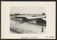 [recto] Noon on a hot day at the Stockton Assembly Center, which is a converted fairgrounds. This photograph shows the old race track. This center has been opened a week and evacuees will arrive daily until the capacity of 5,000 is reached. ;  Photographer: Lan
