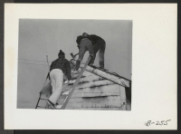 [recto] Quick work, by the evacuee fire department, kept the fire which broke out in the office located at the old hog farm, from doing other than minor damage. ;  Photographer: Stewart, Francis ;  Newell, California.