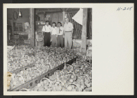 [recto] Alvin O. Eckert, right, grower of choice peaches near Bellville, Illinois, shows some of the basketed fruit to three visitors ...