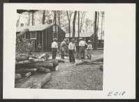 [recto] Voluntary workers cutting up cleared logs for stove wood and fuel collection. ;  Photographer: Parker, Tom ;  McGehee, Arkansas.