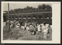 [recto] Closing of the Jerome Center, Denson, Arkansas. The whistle blows, the train jerks forward, and Jerome residents awaiting movement to other centers wave to their friends who are en route to Gila River Center. ;  Photographer: Mace, Charles E. ;  Denso
