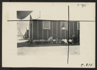 [recto] Manzanar, Calif.--Evacuees at this War Relocation Authority center relaxing in the shade of their barrack apartment. ;  Photographer: Lange, Dorothea ;  Manzanar, California.