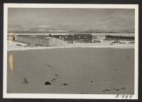 [recto] A general view, showing buildings which house the chickens during the winter months, on the evacuee run poultry farm. ;  Photographer: Stewart, Francis ;  Newell, California.