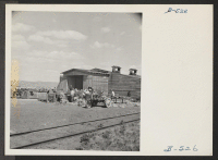 [recto] Seed potato cutting at the cutting sheds of the Tule Lake Relocation Center farm. 7,500 sacks of potatoes will be cut by the 48 workers in 2-1/2 weeks. This will be enough seeds to plant the 600 acres. ;  Photographer: Stewart, Francis ;  Newell, Cali