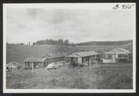 [recto] This shows the barracks and cook shack of the Big Spruce Logging Company operated by James Yanari, formerly from Heart ...