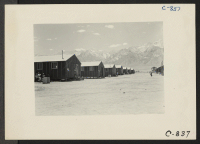 [recto] Manzanar, Calif.--Far end of barrack row looking west to the desert beyond with the mountains in the background. Evacuees at this War Relocation Authority center are encountering the terrific desert heat. ;  Photographer: Lange, Dorothea ;  Manzanar,