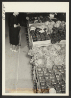 [recto] Vegetable crops exhibited at the Amache Agricultural Fair, September 11 and 12. ;  Photographer: McClelland, Joe ;  Amache, Colorado.