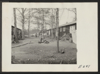 [recto] A street scene in block 7 on a November afternoon. ;  Photographer: Parker, Tom ;  Denson, Arkansas.