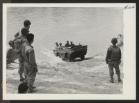 [recto] Members of the 232nd engineers watch a Japanese-American crew bring an amphibian ashore after a crossing of the Leaf River ...