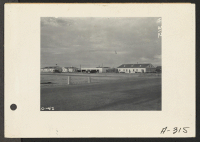 [recto] Parker, Ariz.--Indian Service offices, surrounded by lawn and greenery amid the desert, on Colorado River Indian Reservation, site of War Relocation Authority center for evacuees of Japanese ancestry. ;  Photographer: Albers, Clem ;  Parker, Arizona.